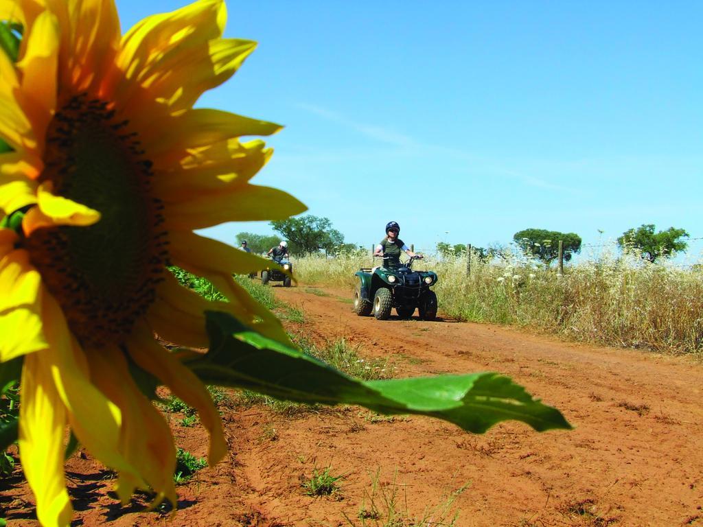 Vila Gale Alentejo Vineyard - Clube De Campo Алберноа Екстериор снимка