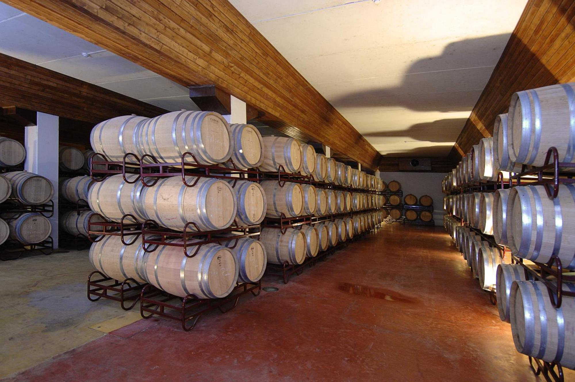 Vila Gale Alentejo Vineyard - Clube De Campo Алберноа Екстериор снимка