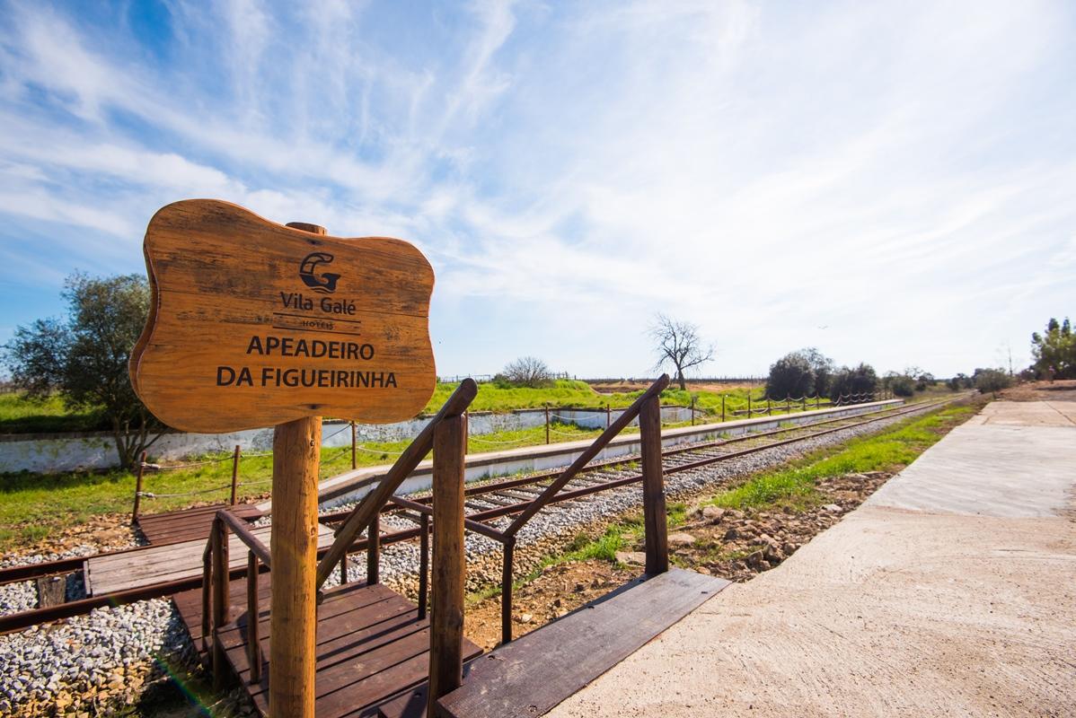 Vila Gale Alentejo Vineyard - Clube De Campo Алберноа Екстериор снимка