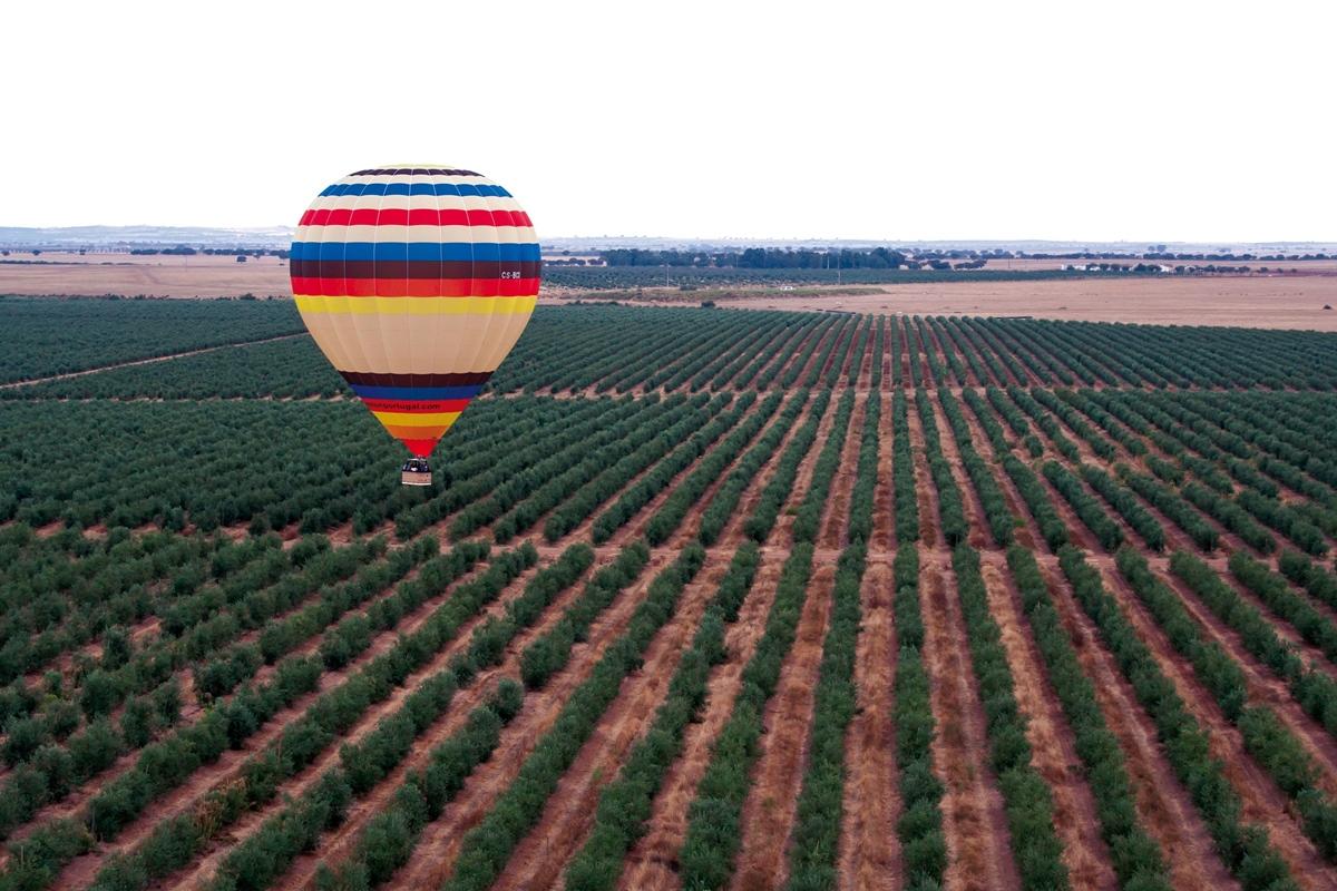 Vila Gale Alentejo Vineyard - Clube De Campo Алберноа Екстериор снимка