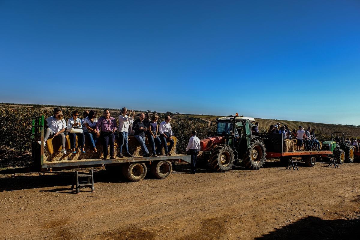 Vila Gale Alentejo Vineyard - Clube De Campo Алберноа Екстериор снимка