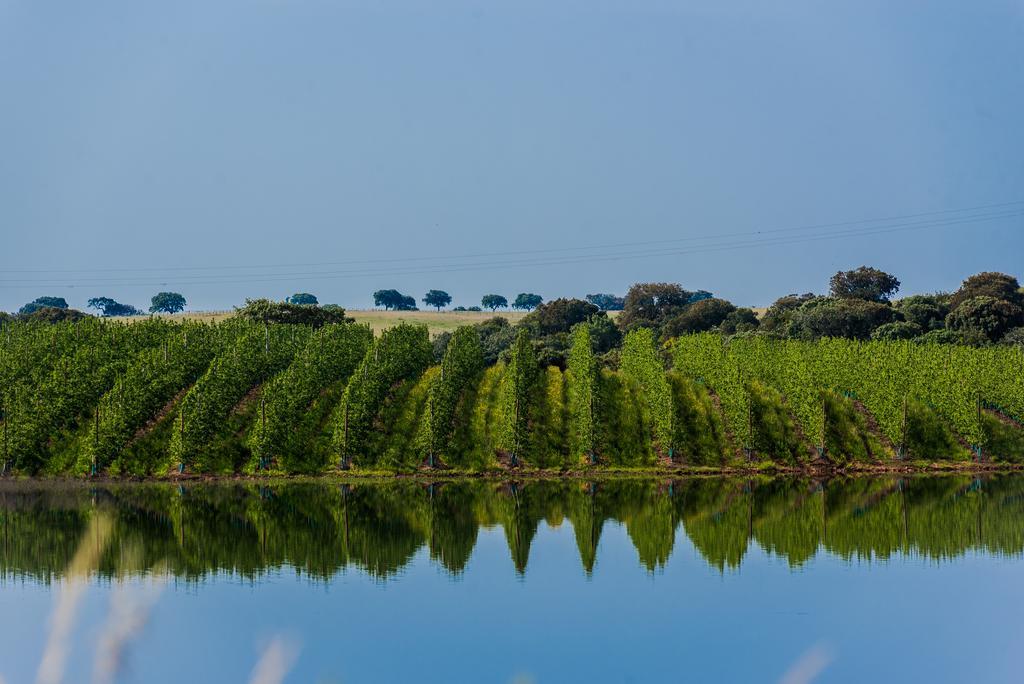 Vila Gale Alentejo Vineyard - Clube De Campo Алберноа Екстериор снимка
