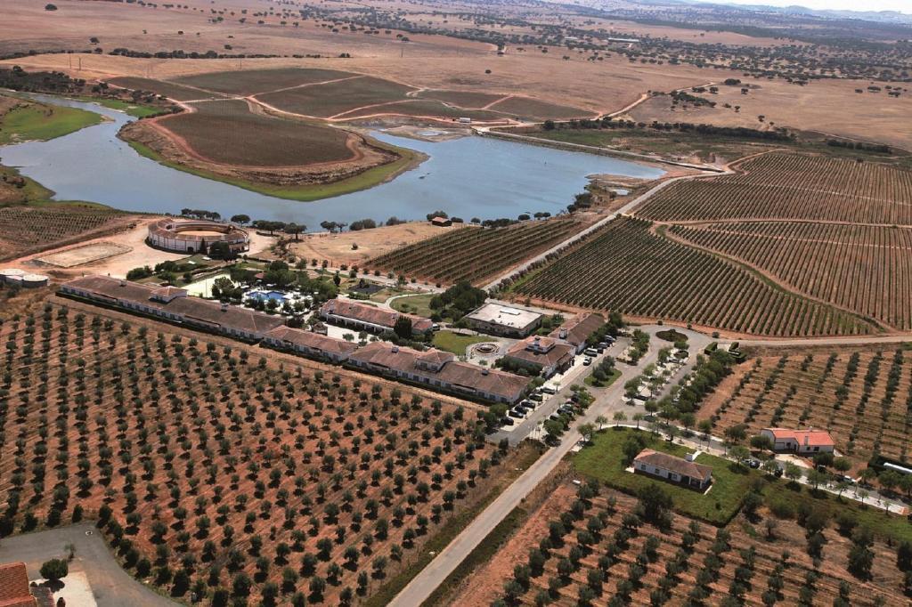 Vila Gale Alentejo Vineyard - Clube De Campo Алберноа Екстериор снимка